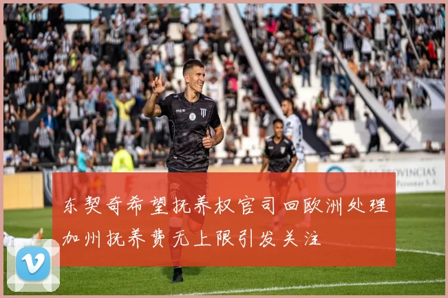 东契奇希望抚养权官司回欧洲处理加州抚养费无上限引发关注