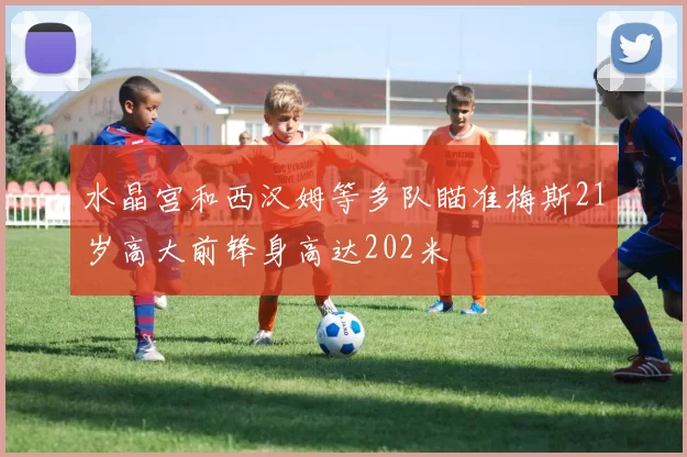 水晶宫和西汉姆等多队瞄准梅斯21岁高大前锋身高达202米